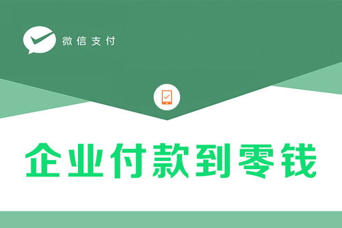 企業付款到零錢開通詳解與信息咨詢服務
