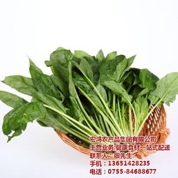 宏鴻農(nóng)產(chǎn)品集團(tuán) 一站式食材配送，守護(hù)餐桌健康與品質(zhì)