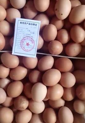 科左中旗發(fā)出首張食用農(nóng)產(chǎn)品合格證，農(nóng)產(chǎn)品質(zhì)量安全管理邁入新階段